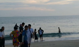 海边视频,海边视频中的自然画卷